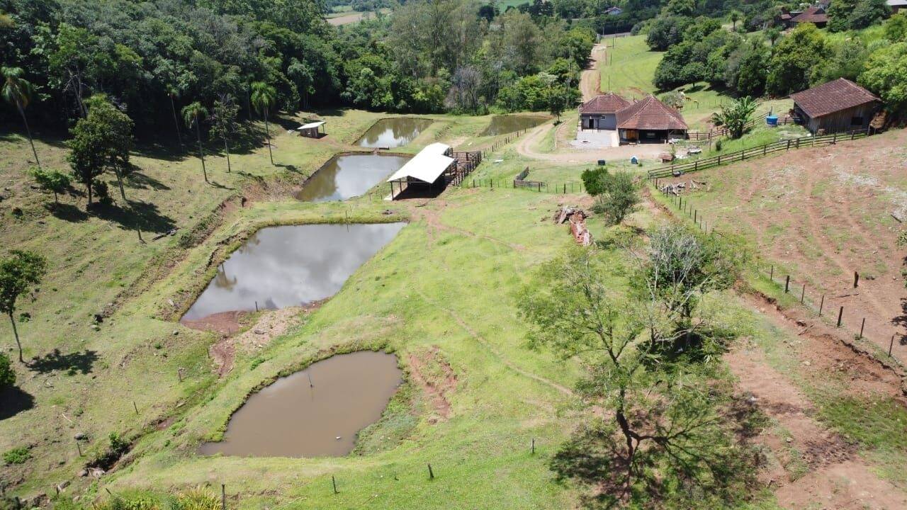 Chácara, 3 quartos, 8 hectares - Foto 8