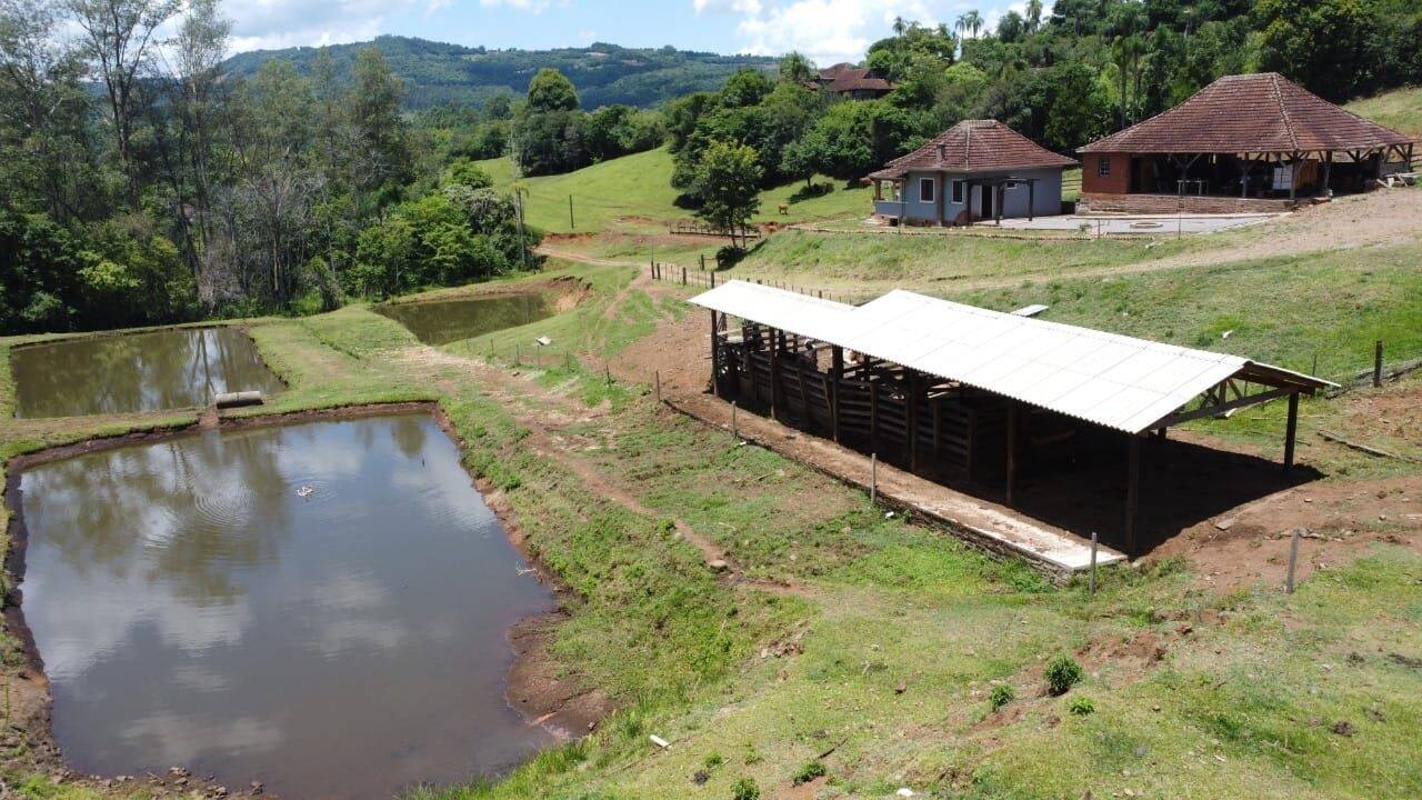 Chácara, 3 quartos, 8 hectares - Foto 9