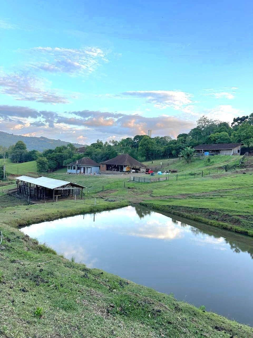 Chácara, 3 quartos, 8 hectares - Foto 12