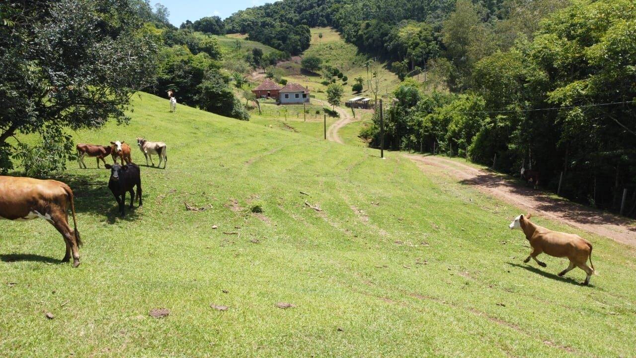 Chácara, 3 quartos, 8 hectares - Foto 20