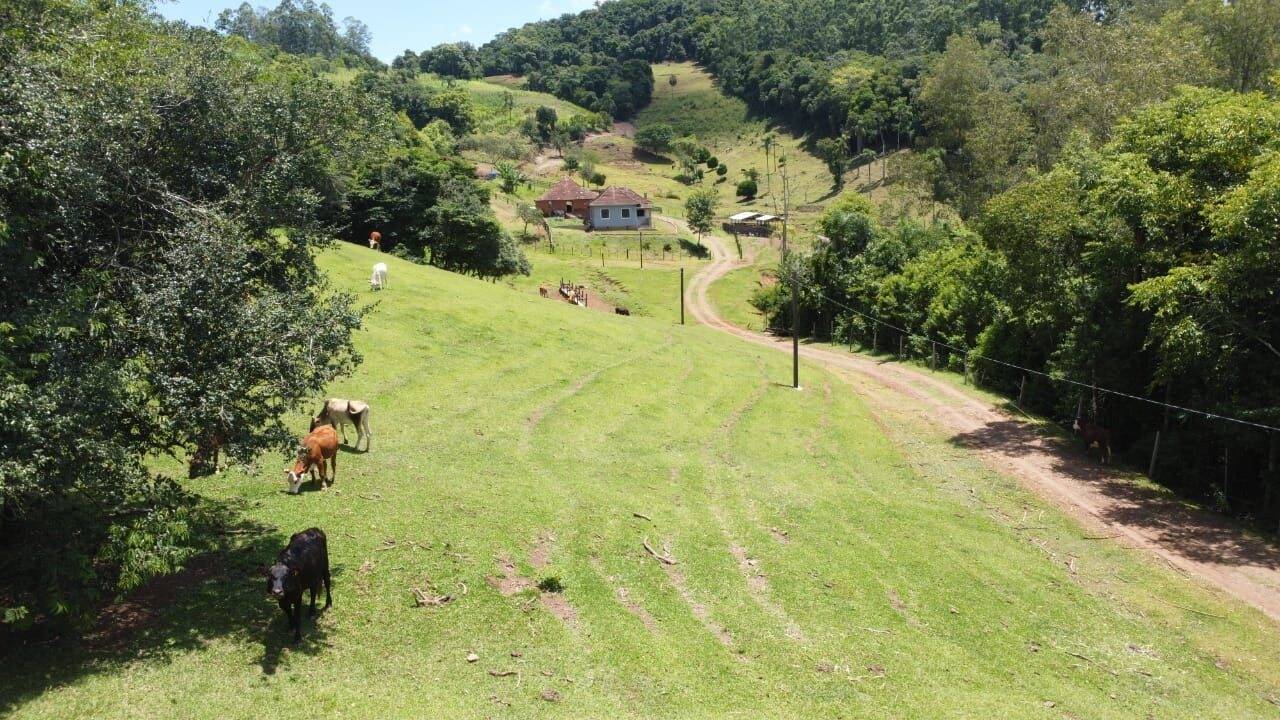 Chácara, 3 quartos, 8 hectares - Foto 21
