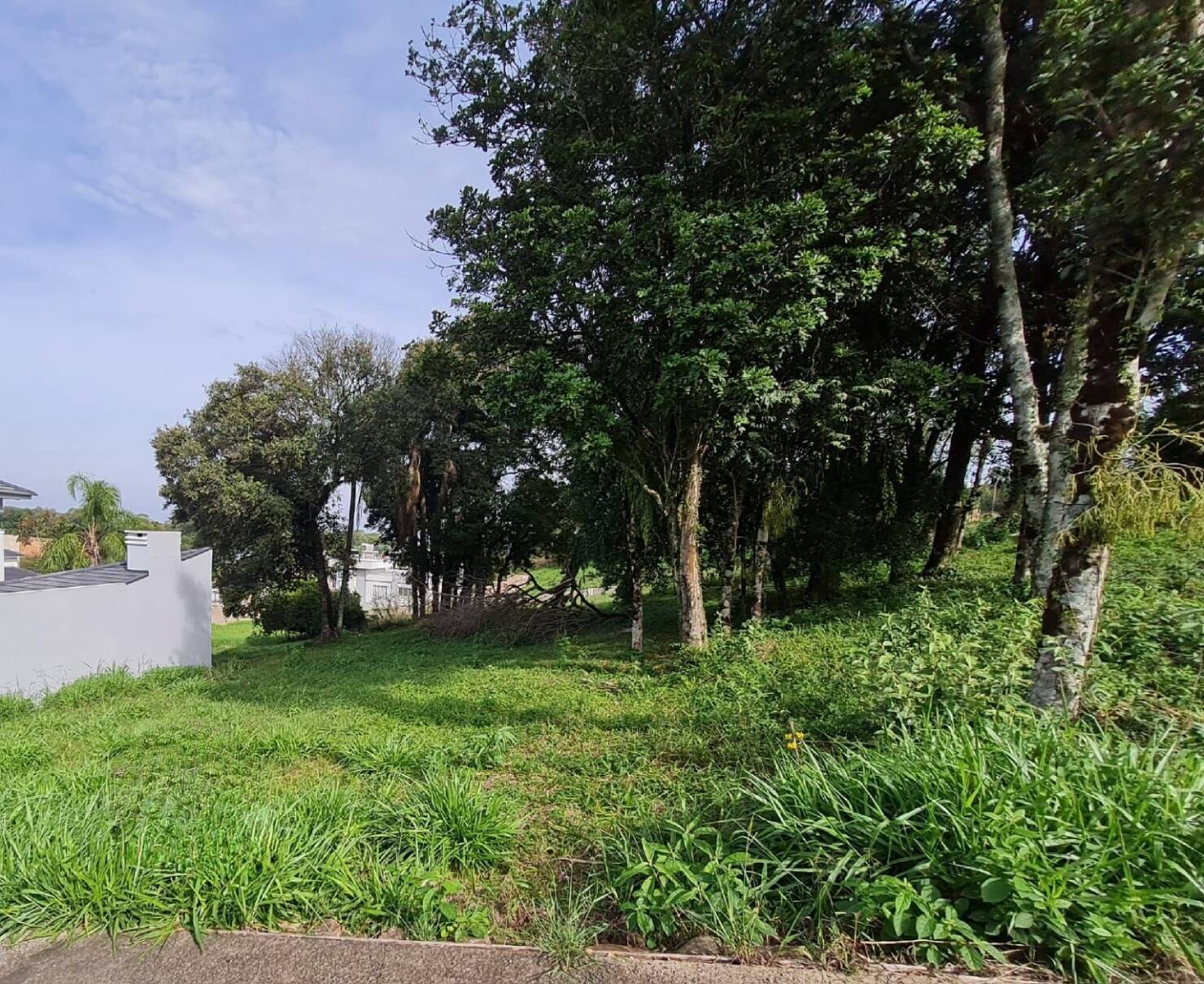 Terreno, 364 m² - Foto 5