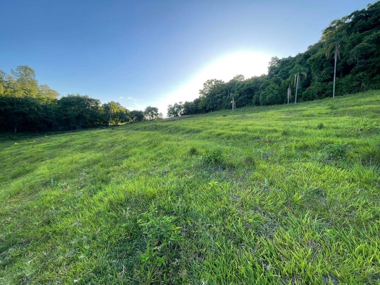 Chácara, 3 quartos, 8 hectares - Foto 30