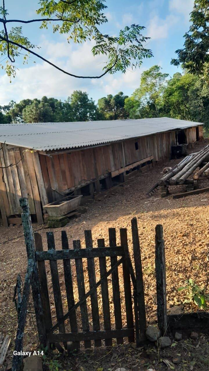 Fazenda à venda com 2 quartos, 90m² - Foto 7