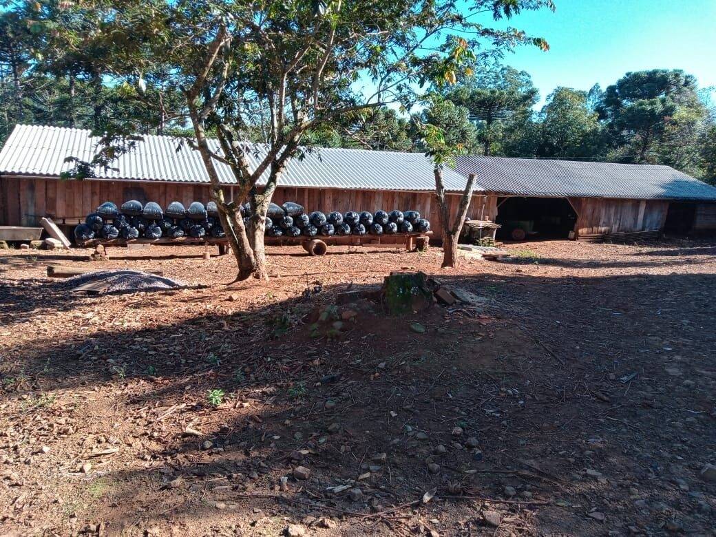 Fazenda à venda com 2 quartos, 90m² - Foto 8