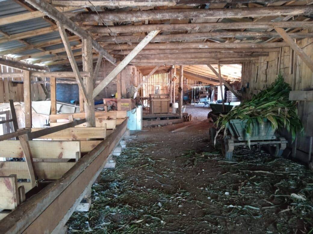 Fazenda à venda com 2 quartos, 90m² - Foto 9