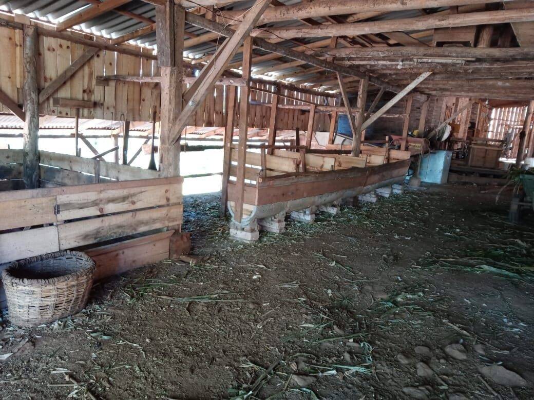 Fazenda à venda com 2 quartos, 90m² - Foto 11