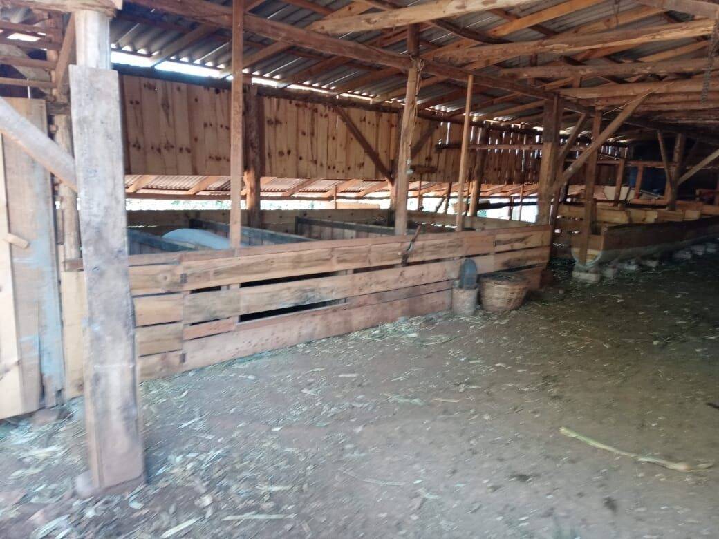 Fazenda à venda com 2 quartos, 90m² - Foto 12