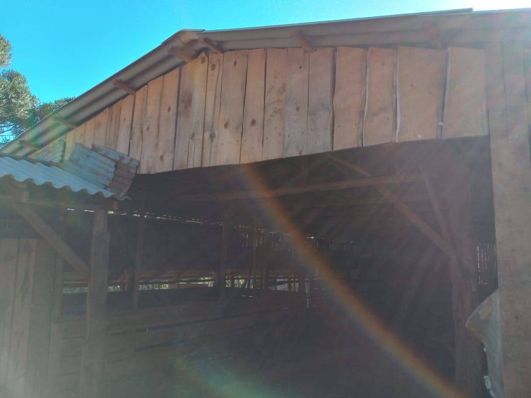 Fazenda à venda com 2 quartos, 90m² - Foto 13