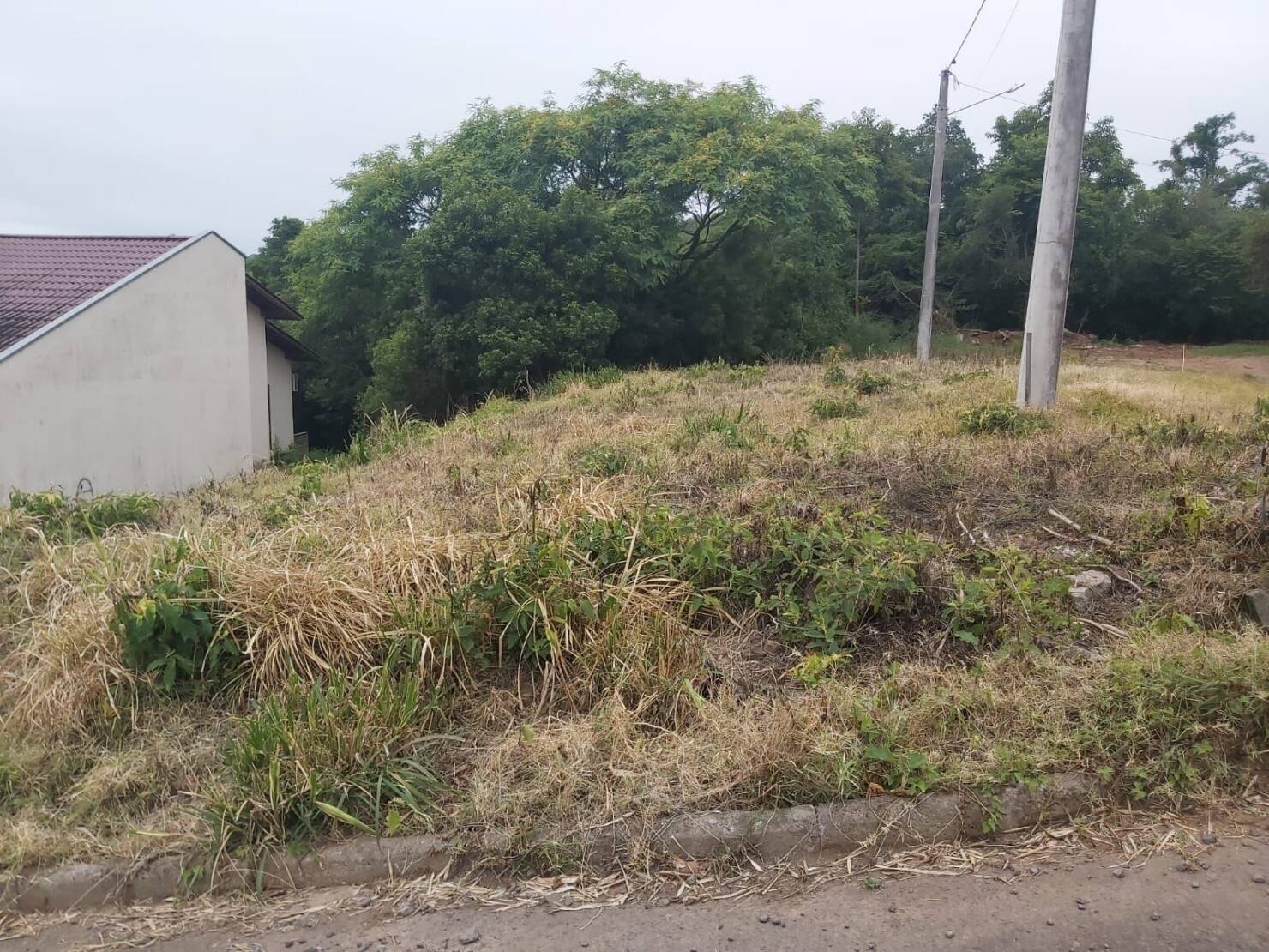 Terreno à venda, 300m² - Foto 2