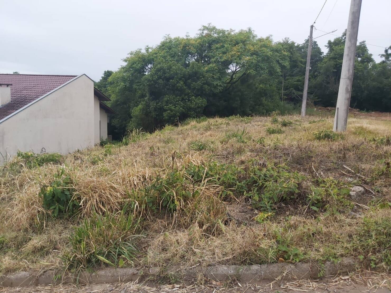 Terreno à venda, 300m² - Foto 4