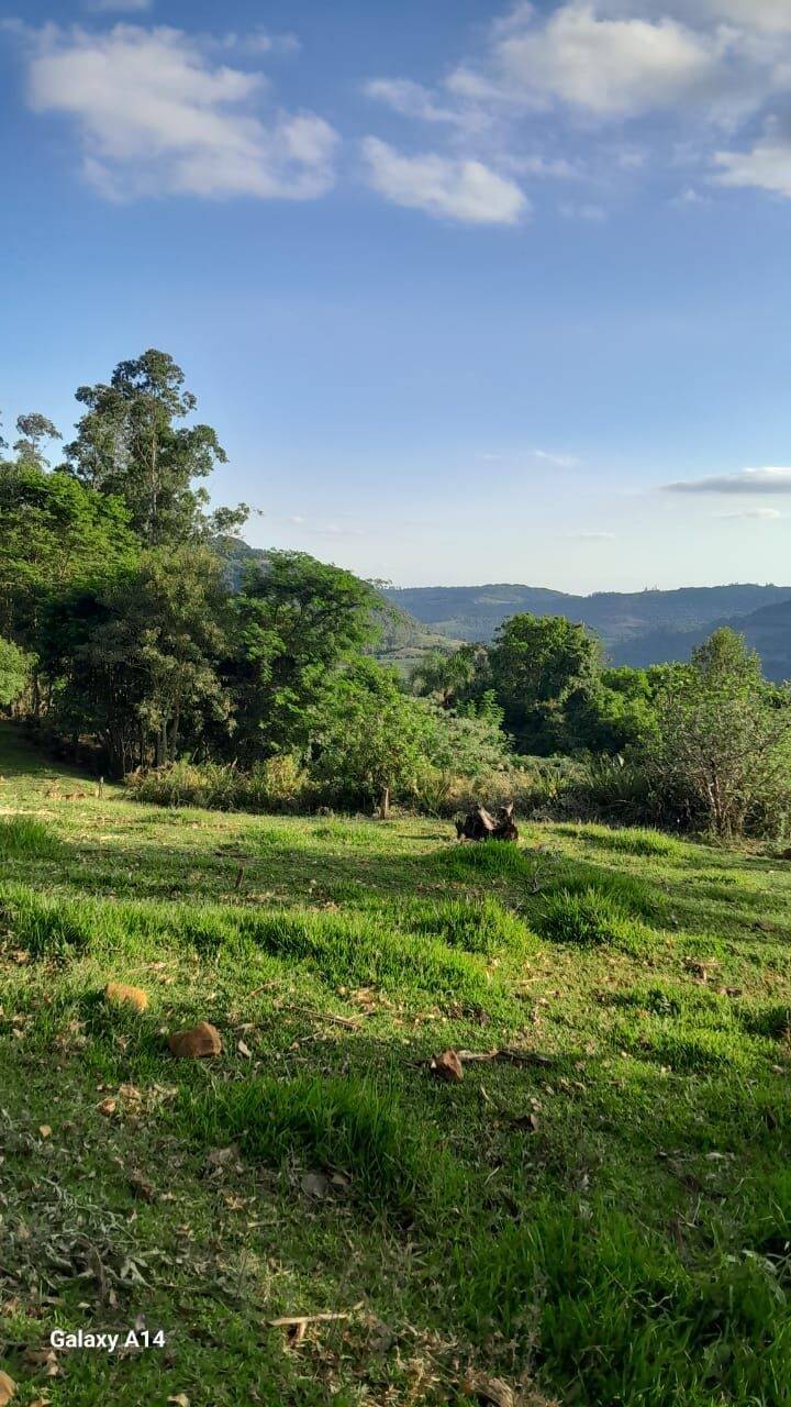 Fazenda à venda com 2 quartos, 90m² - Foto 23