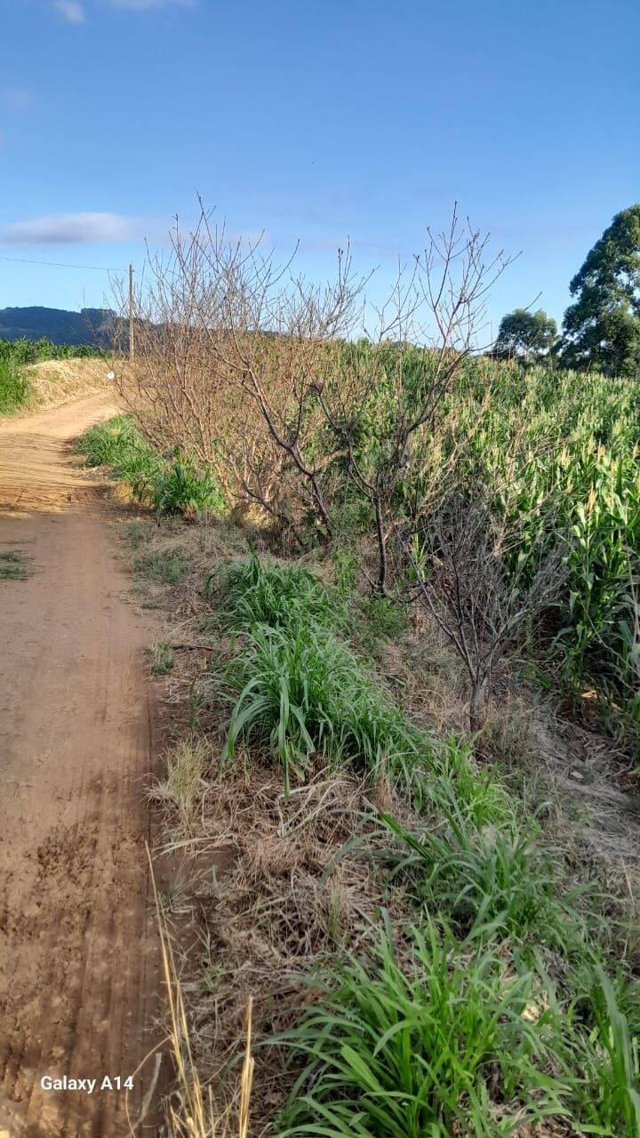 Fazenda à venda com 2 quartos, 90m² - Foto 24