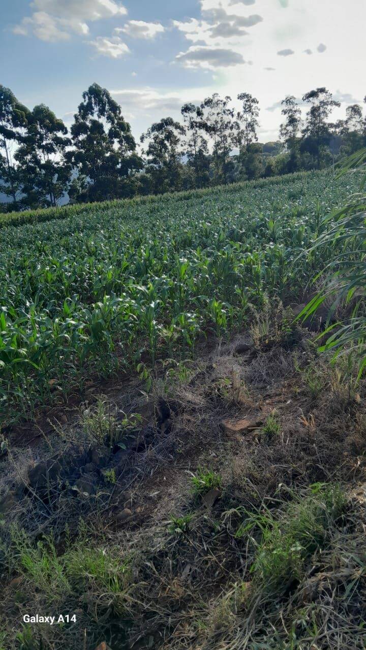 Fazenda à venda com 2 quartos, 90m² - Foto 29