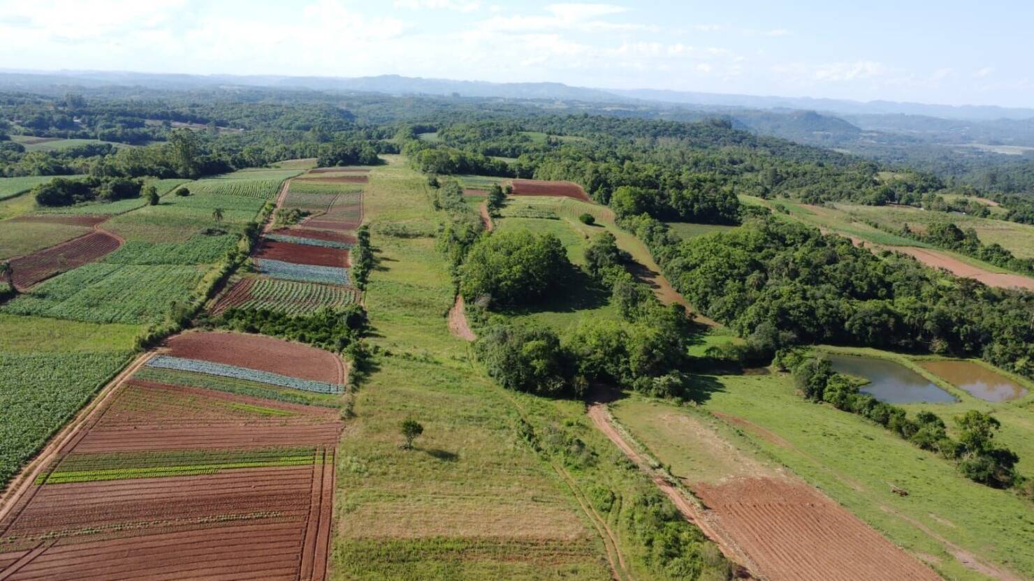 Sítio, 3 quartos, 6 hectares - Foto 32