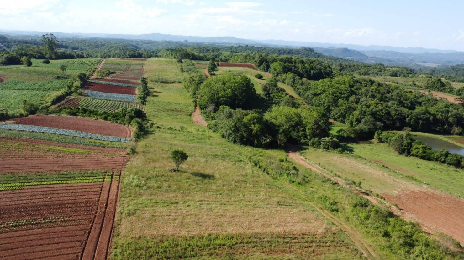 Sítio, 3 quartos, 6 hectares - Foto 33