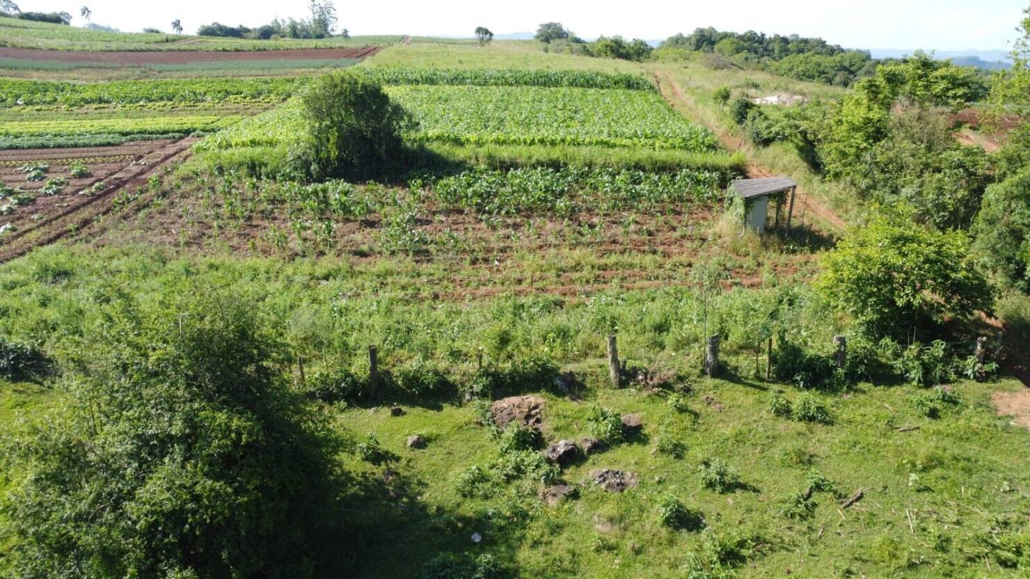 Sítio, 3 quartos, 6 hectares - Foto 7