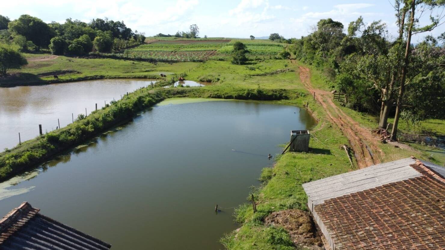 Sítio, 3 quartos, 6 hectares - Foto 8