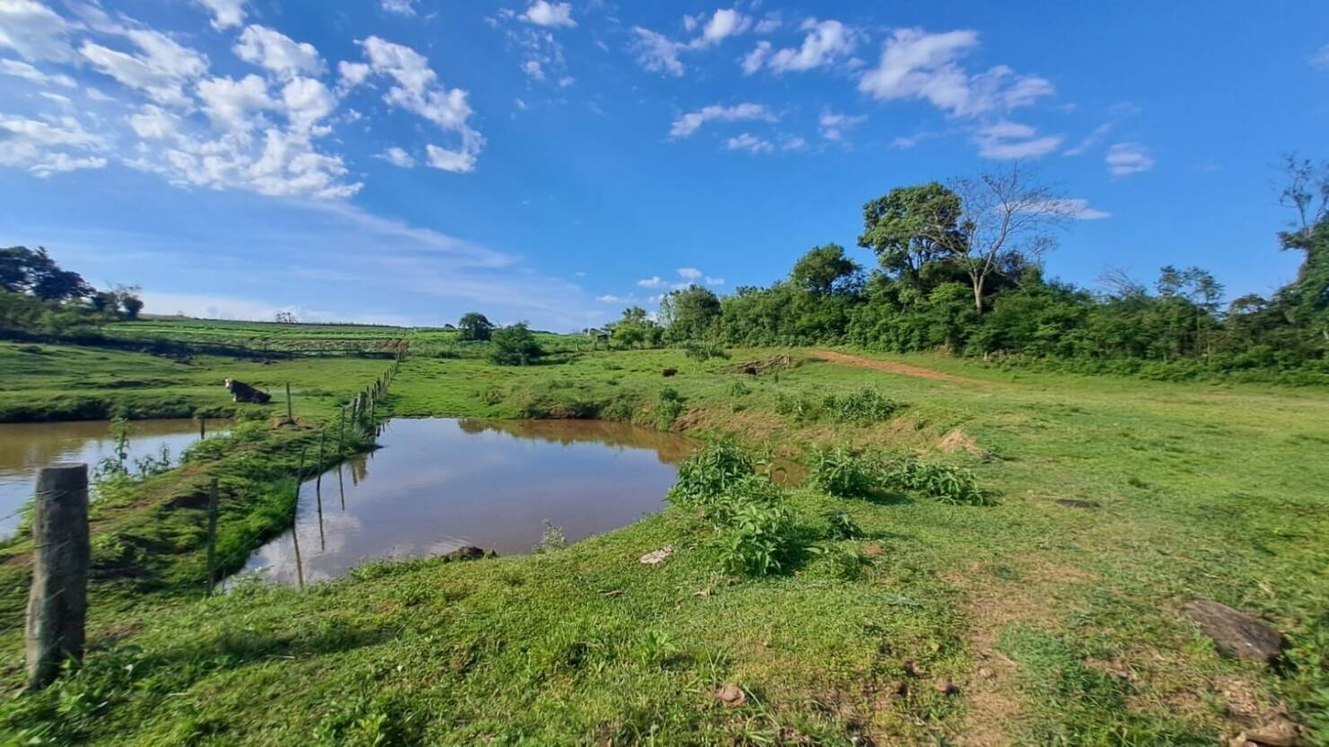 Sítio, 3 quartos, 6 hectares - Foto 13