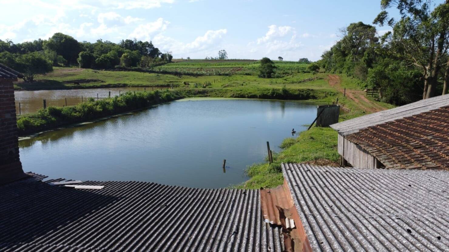 Sítio, 3 quartos, 6 hectares - Foto 14