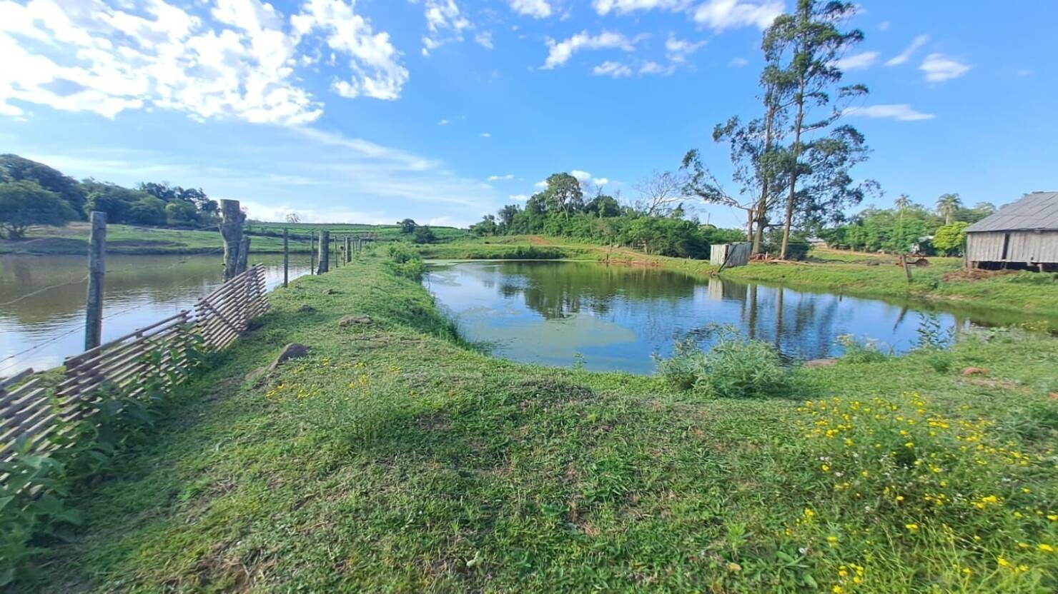 Sítio, 3 quartos, 6 hectares - Foto 15