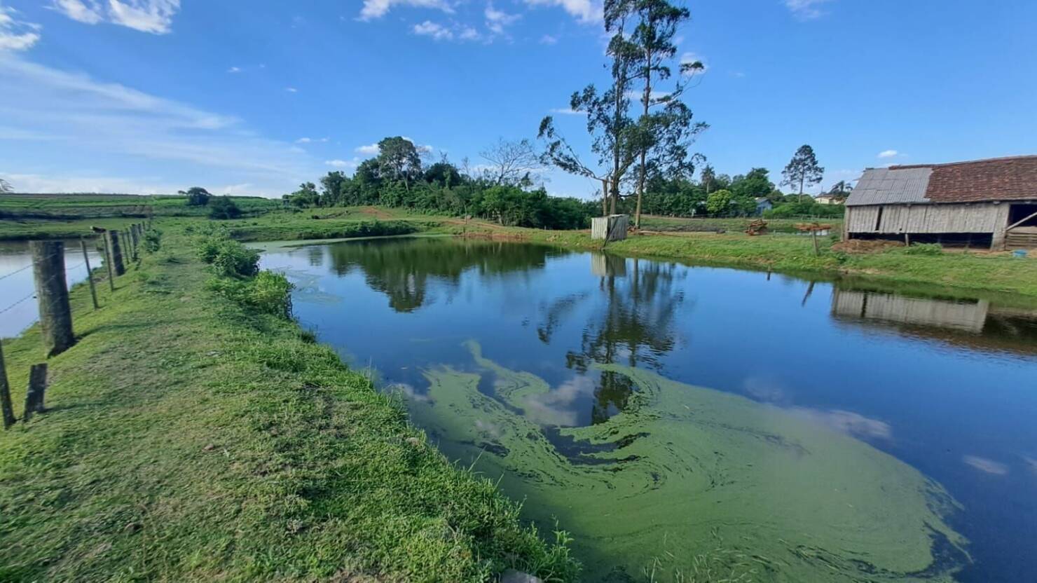 Sítio, 3 quartos, 6 hectares - Foto 17