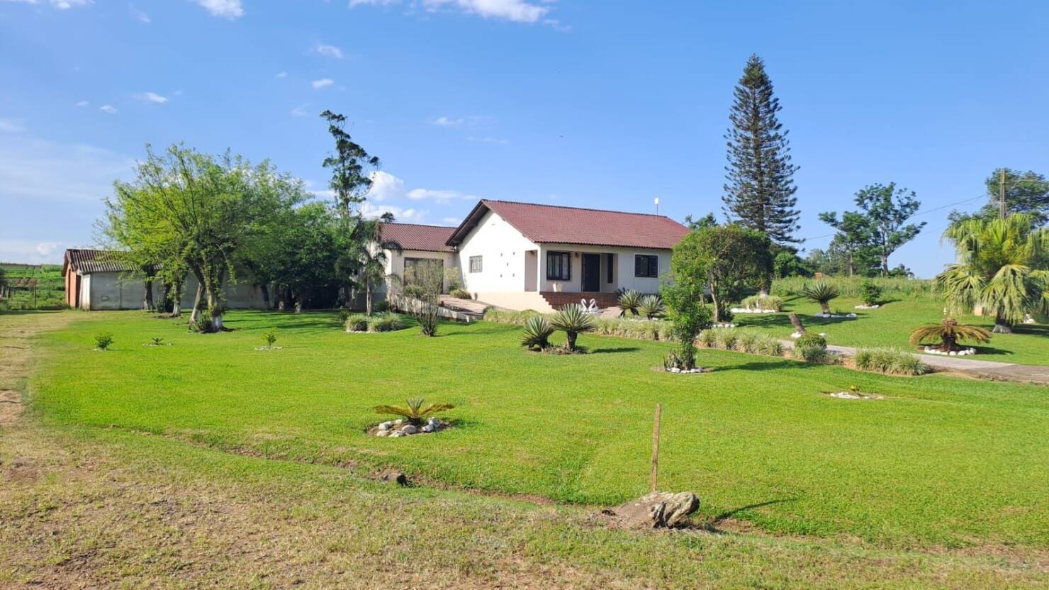 Sítio, 3 quartos, 6 hectares - Foto 19