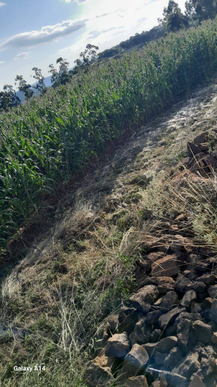 Fazenda à venda com 2 quartos, 90m² - Foto 35