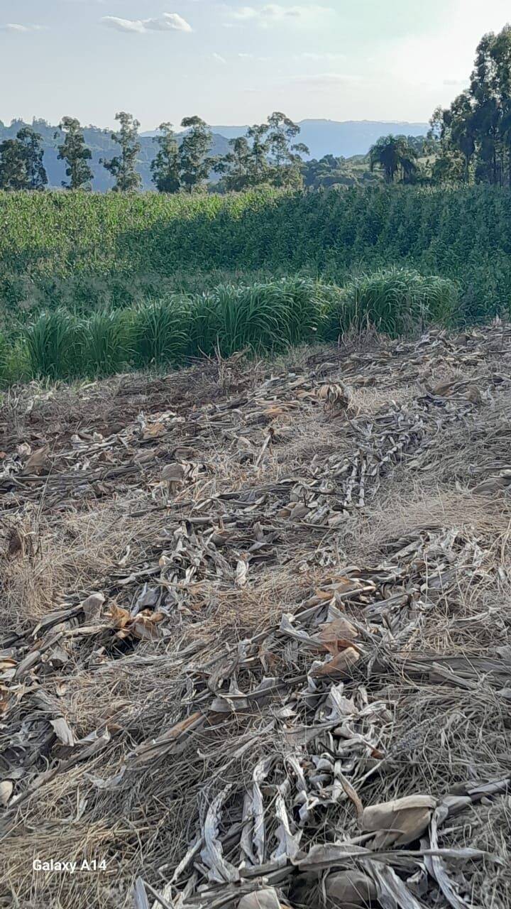Fazenda à venda com 2 quartos, 90m² - Foto 41