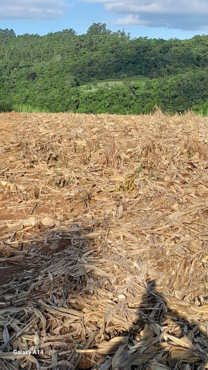 Fazenda à venda com 2 quartos, 90m² - Foto 44