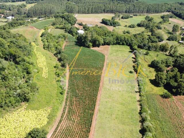 Chácara para Venda em Santa Cruz do Sul - 2