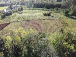 #771 - Terreno para Venda em Santa Cruz do Sul - RS - 3
