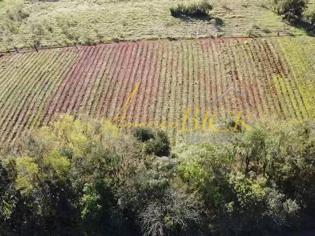 Terreno para Venda em Santa Cruz do Sul - 4