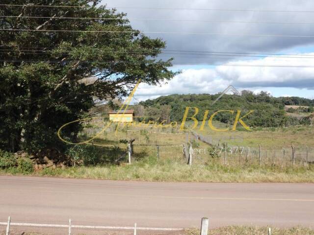 Chácara para Venda em Santa Cruz do Sul - 5