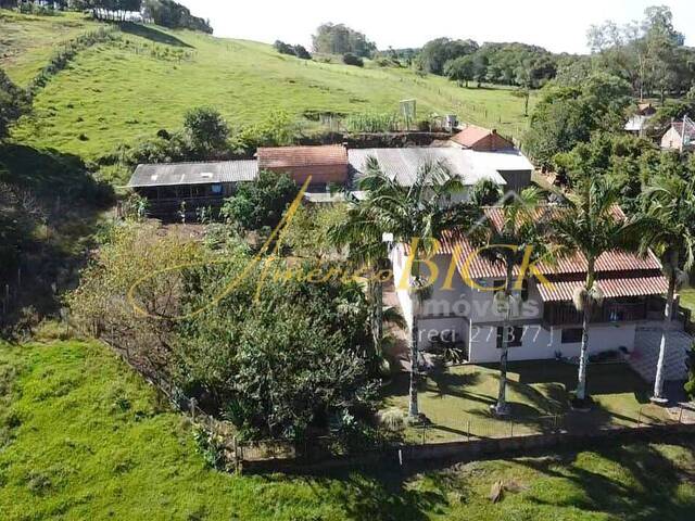 Chácara para Venda em Santa Cruz do Sul - 5