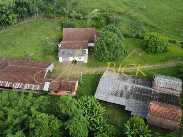Chácara para Venda em Santa Cruz do Sul - 3