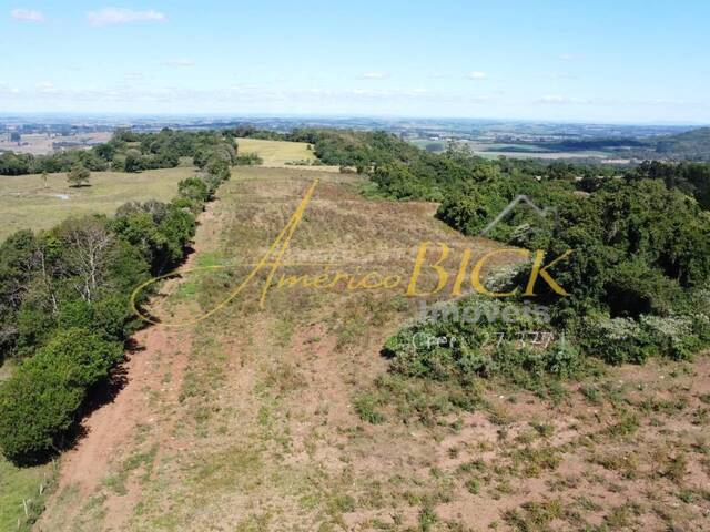 #CHA-048 - Chácara para Venda em Passo do Sobrado - RS