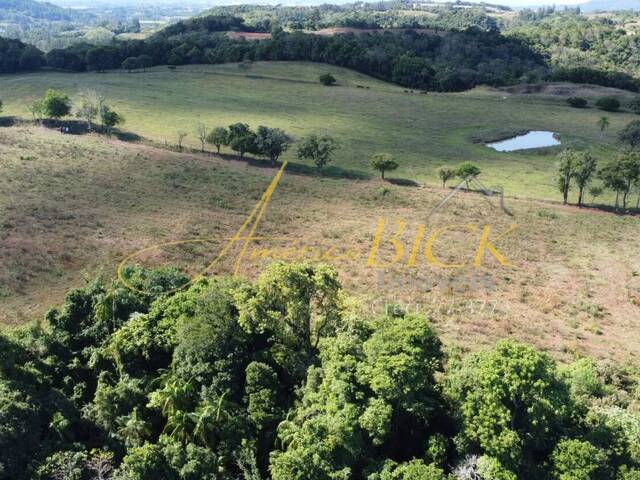 Chácara para Venda em Passo do Sobrado - 5