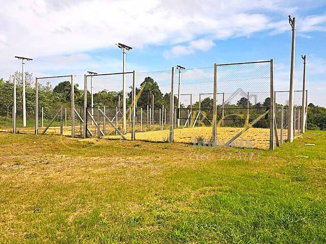 Terreno para Venda em Santa Cruz do Sul - 4