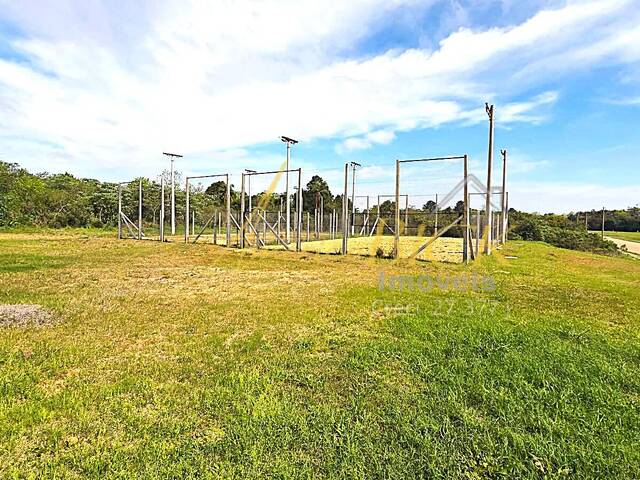 Venda em Linha Santa Cruz - Santa Cruz do Sul