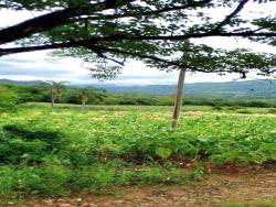 Venda em Zona rural - Vale do Sol