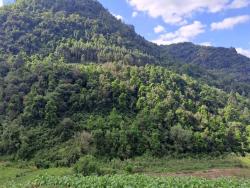 Venda em Zona rural - Vale do Sol