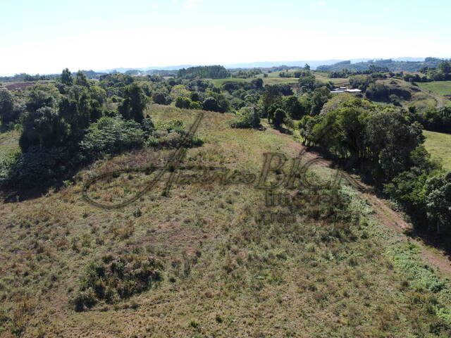 #3 - Chácara para Venda em Santa Cruz do Sul - RS