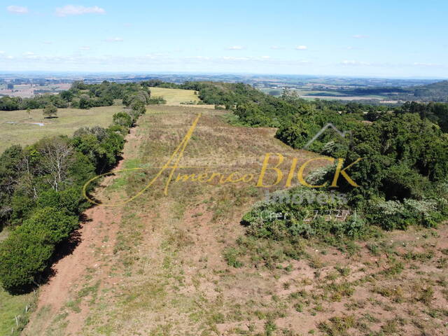Chácara para Venda em Santa Cruz do Sul - 4