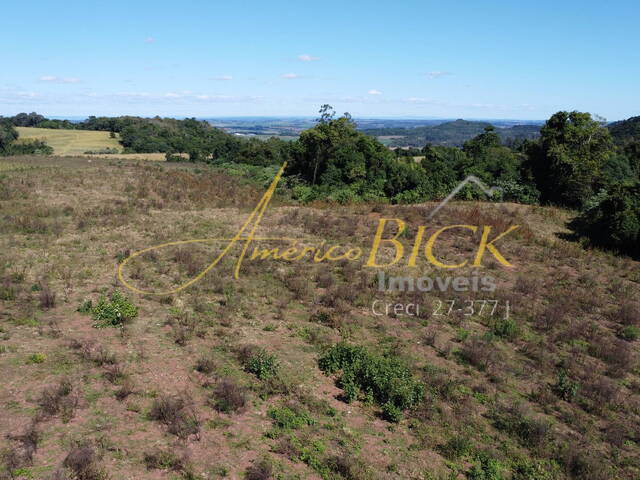 Chácara para Venda em Santa Cruz do Sul - 4