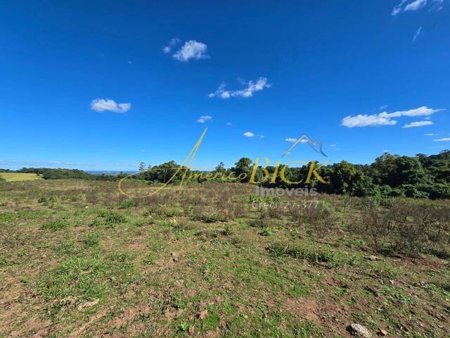Chácara para Venda em Santa Cruz do Sul - 5