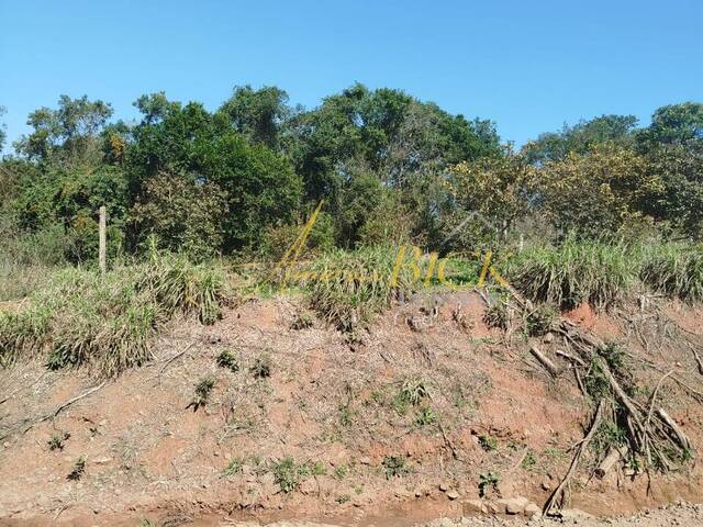 Venda em João Alves - Santa Cruz do Sul