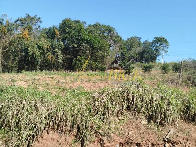 #1346 - Chácara para Venda em Santa Cruz do Sul - RS - 3