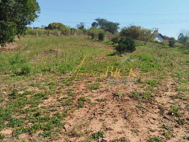 Chácara para Venda em Santa Cruz do Sul - 4