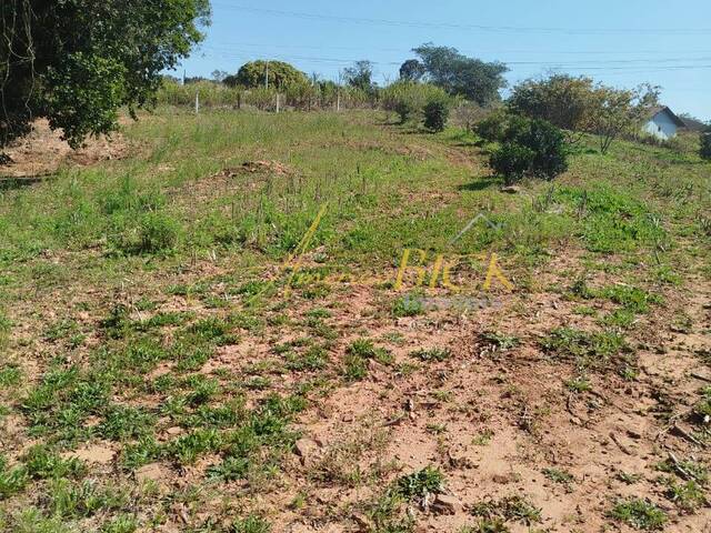 #1346 - Chácara para Venda em Santa Cruz do Sul - RS - 2